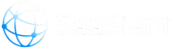 Saasient.ai